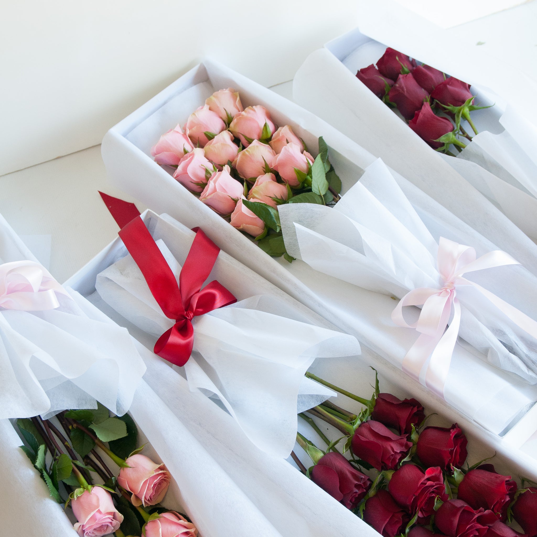 Boxed Roses