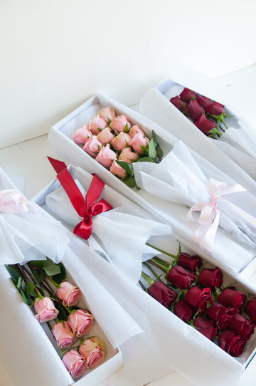 Boxed Roses